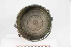 Foto von Bronzerippenziste (NHMW-PRAE-026411)